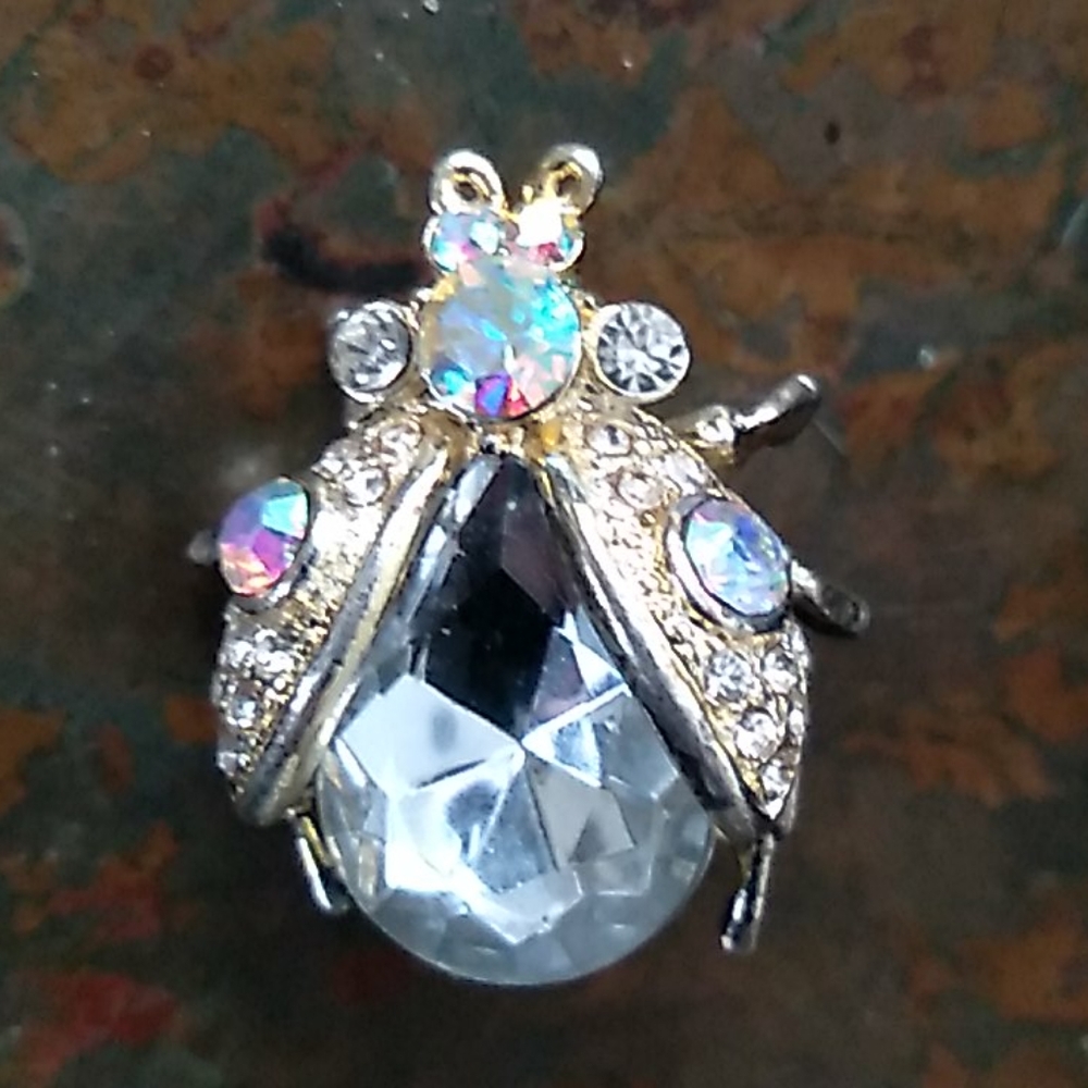 Vintage beetle brooch